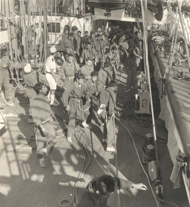 06coperta alberata.jpg